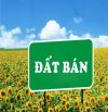 Bán đất mt đường Phú Xuân 5 – Gần bv Ung Bướu. Cách biển Nguyễn Tất Thành 600m