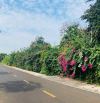 Nguyên vườn Sầu Riêng 3000m2 xã Đất Đỏ, TP HCM ( Long Tân, Huyện Long Đất )