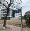ĐẤT BIỆT THỰ TRẦN QUỐC LẶC, TP. HẢI DƯƠNG ( nay là tp  Hải Phòng)