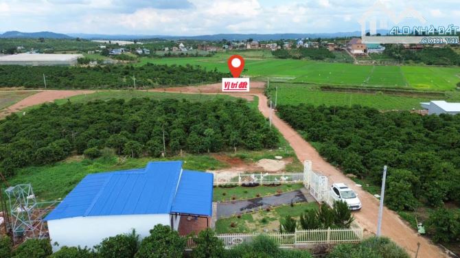 Lâm Đồng, mặt tiền ngang 8m, khí hậu mát mẻ, gần nhà vườn chỉ 390tr