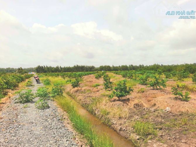 Siêu Phẩm, chỉ 900tr sở hữu 1000m2 đất vườn chanh View Kênh