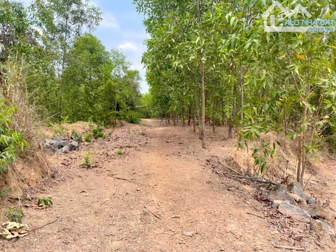 Đất Mặt Tiền đường Vành Đai 4, Bình Minh - Trảng Bom