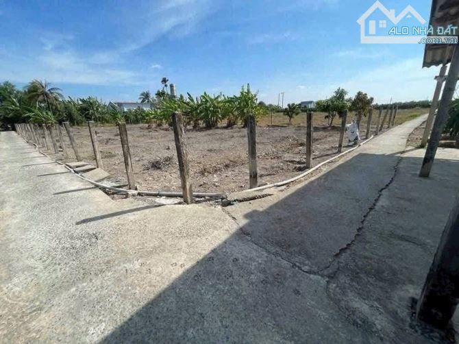980m2 đất trồng thanh long giá 449tr 3MT đường, cách nhựa 827 tầm 250m sổ hồng
