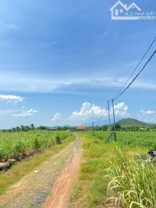 Bán mảnh đất được phép xây dựng Trang trại, nhà Yến  tỉnh Khánh Hòa