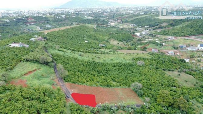 Bán đất góc 2 mặt tiền hẻm 71 Trần Nhật Duật, Dambri (phường 2) Bảo Lộc. GIẢM GẤP 800tr