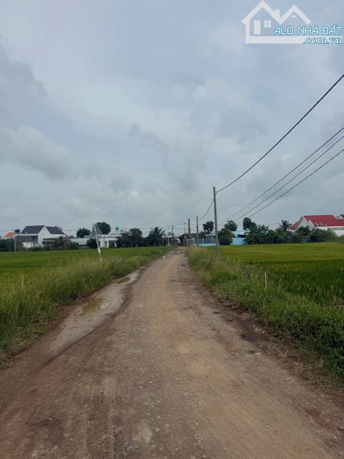 CẦN BÁN GẤP LÔ ĐẤT NGAY TÂN LÂN