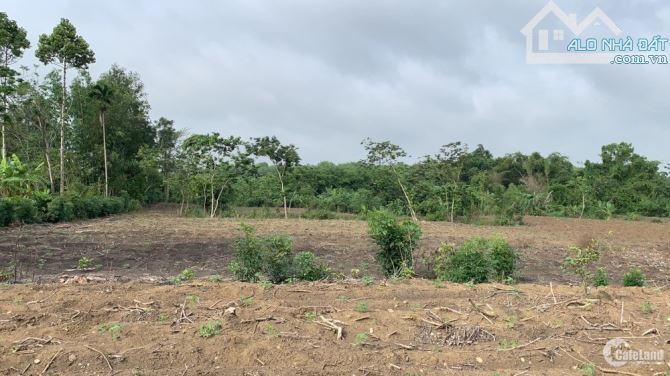 TÂY TỰU – ĐẤT RỘNG 600M² – ÔTÔ – ĐẦU TƯ CHIA LÔ XÂY TÒA – 48.8 TỶ (0TL305022)