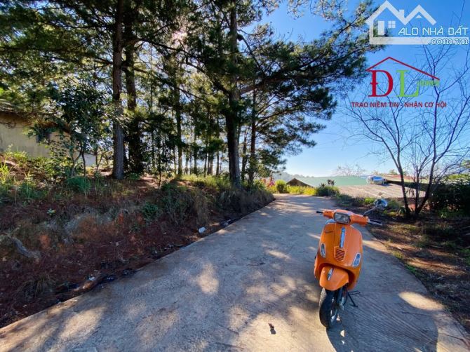 Bán đất Đà Lạt, đường Hoàng Hoa Thám view thông, diện tích 655m2, giá 12 tỷ #4774