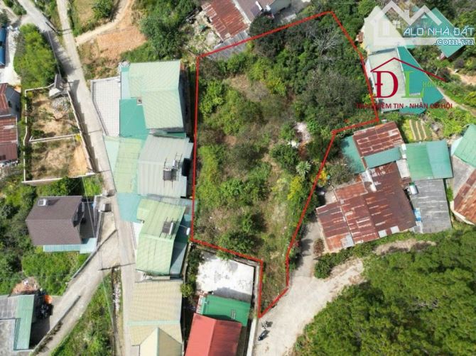 Bán đất Đà Lạt, đường Hoàng Hoa Thám view thông, diện tích 655m2, giá 12 tỷ #4774 - 4