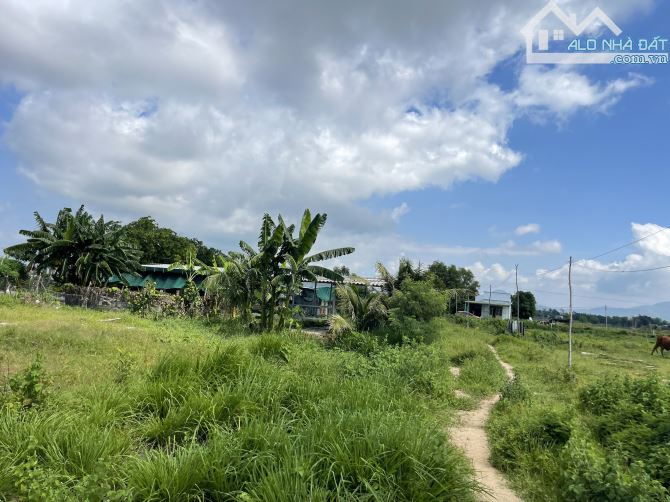 Bán 2000m2 đất thổ cư Lô 2 Lê Quang Định, TX LaGi giá ngộp 1 tỷ/ sào gần biển