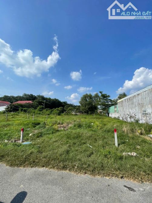 Đất MT nhựa 163m2 Đường 83A - Tân Thạnh Đông Củ Chi bán nhanh giá tốt