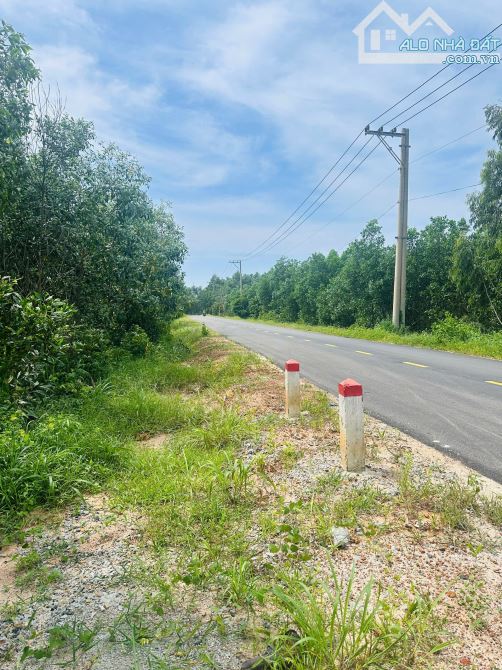 Bán 2.65 mẫu đất Đường nhựa Phạm Thế Hiển - TX LaGi giá rẻ nhất 700tr/ sào