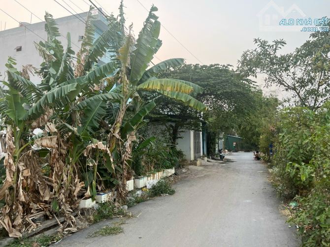 Bán đất ở đô thị Hóc Môn 1111m2 sổ hồng riêng