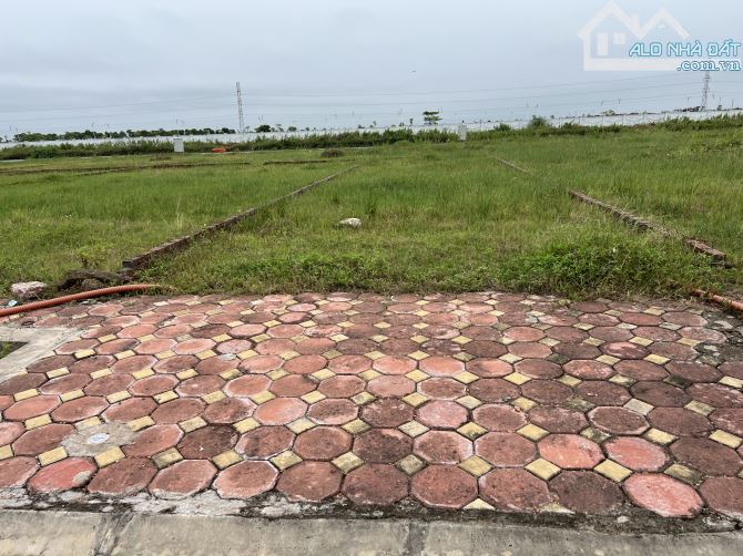 Đất khu đấu giá Hương Đình -Mai Đình  100m .Giá cực kỳ tốt cho nhà đầu tư