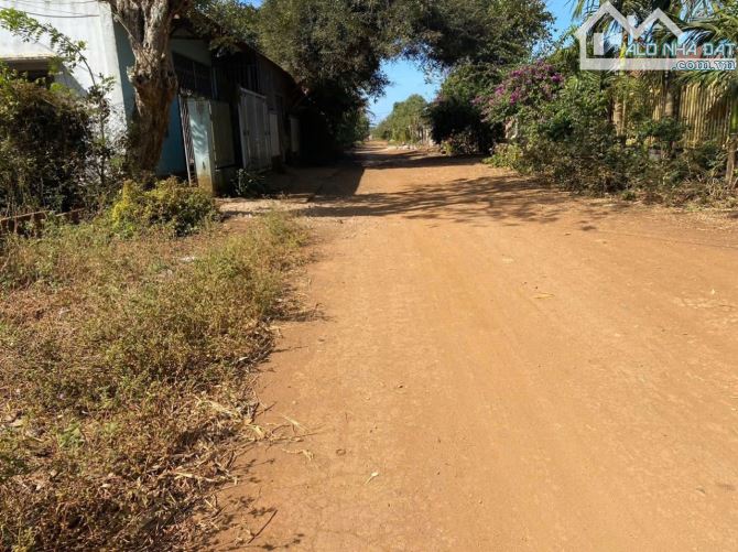 Bán đất gần sân bóng tara - 590 triệu
