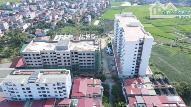 Bán chung cư sao hồng đang ở tòa 7 tầng 1 ngủ