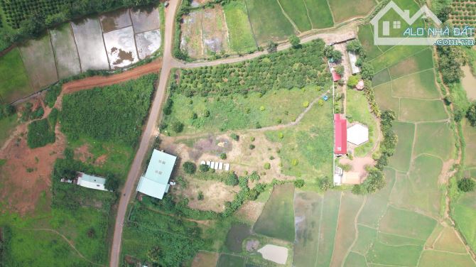 Cần chuyển nhượng hơn 1ha đất mt đường Nguyễn Bá Lai, view ruộng cực đẹp, Pleiku - Gia Lai