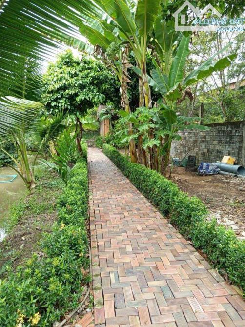 Bán đất 1.500 m2 có nhà cây ăn trái gần chợ Mỹ Khánh - 11