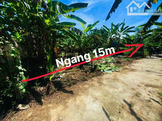 🏡 LÔ ĐẤT 500M² HỘI PHƯỚC – GẦN VÀNH ĐAI PHÍA TÂY – CHỈ 1,99 TỶ 🏡 - 1