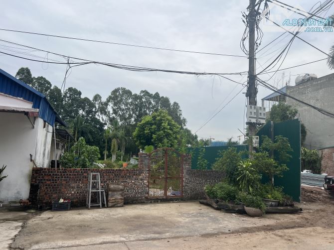 SIÊU PHẨM ẤP SÁP MAI, VÕNG LA, ĐƯỜNG THÔNG, OTO TRÁNH, KINH DOANH. - 1