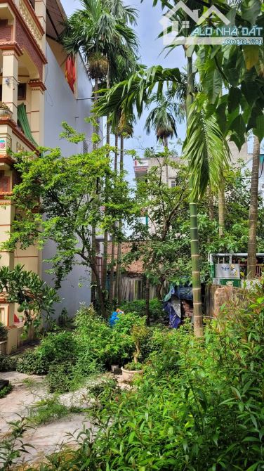 Bán đất Thọ Am, Liên Ninh_ 82m2_ lô góc, ngõ ô tô_ 7.6 tỷ - 1
