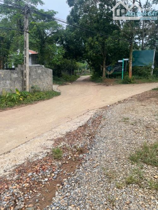 tôi bán 446m đất xã xuân mai chỉ vài triệu/m đường ô tô chia lô không mất ngõ - 1