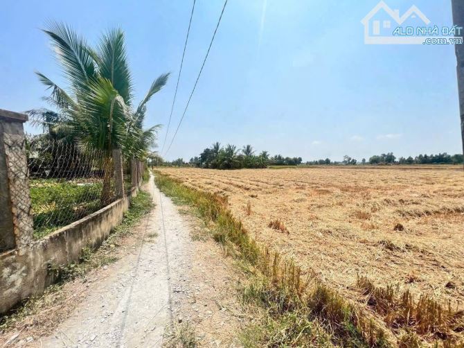 cần bán 550m2 đất 🌾 giá 449tr thuộc Tân Lân, Cần Đước sổ sẵn - 1