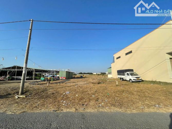 cần bán mặt tiiền đường rừng sác bình khánh cần giờ 500m2 - 1
