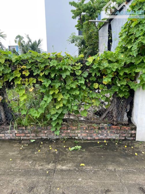 ✨ BÁN ĐẤT TỔ 9  FULL THỔ CƯ – THỊ TRẤN QUANG MINH, MÊ LINH ✨ - 1