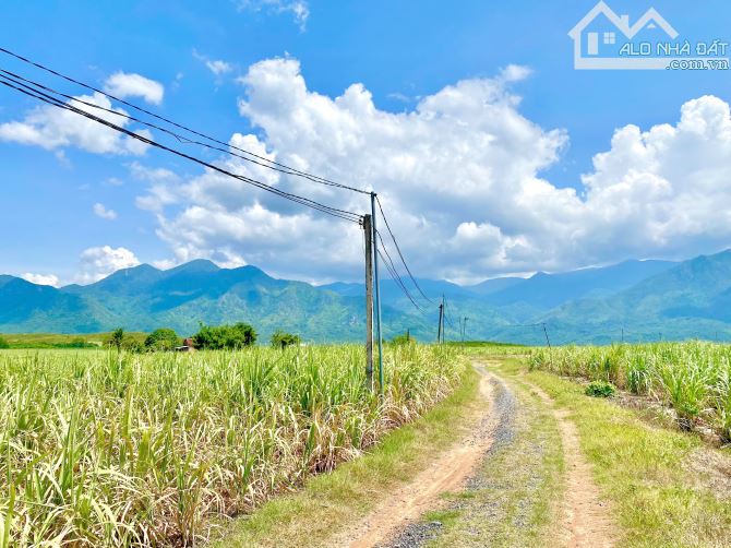 Bán mảnh đất được phép xây dựng Trang trại, nhà Yến  tỉnh Khánh Hòa - 1