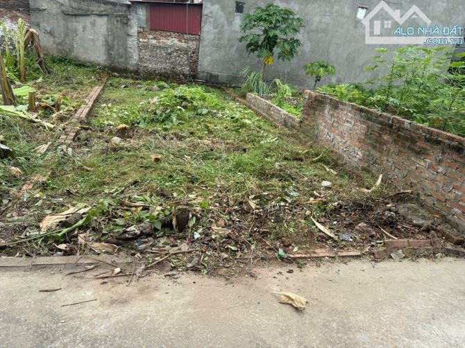 Em cần bán 2 lô đất phân khúc tài chính thấp còn sót lại trên thị trường Mỹ Đức - 1