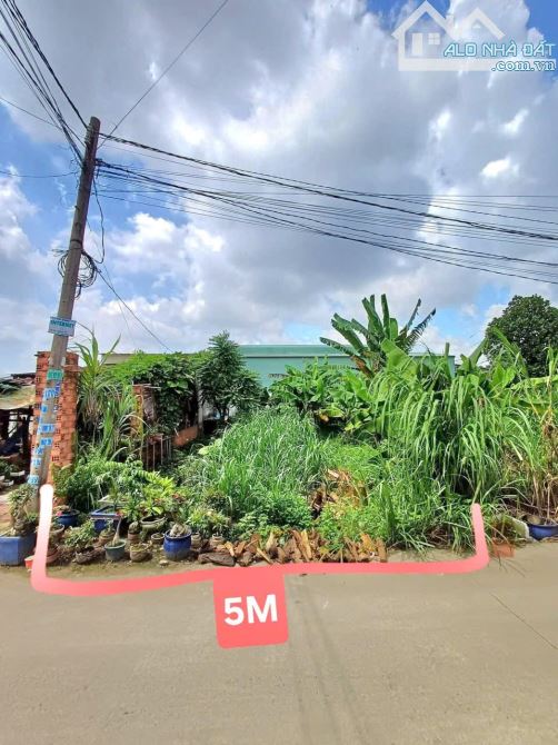 📍 Bân 104m2 đất Mặt Tiền Gần KCN Đại Đăng – Giá Siêu Hấp Dẫn! - 1