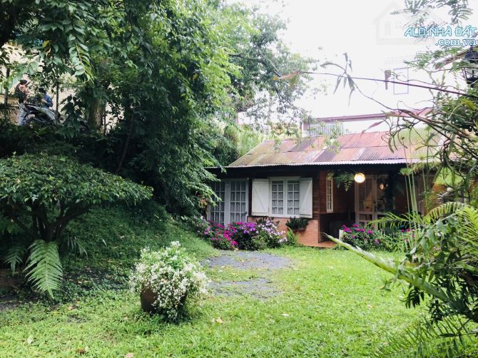 BÁN ĐẤT 300M2 NGANG 20M HẺM ÔTÔ NHỰA QUANG TRUNG GẦN RESORT MERCURE, CÁCH HỒ 1,8KM -26 TỶ - 1