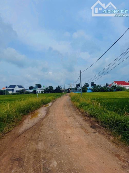 đầu tư kinh doanh thuận tiện🏡    Mua đất cất nhà kinh doanh; mở quan cf thuận tiện kinh d - 1