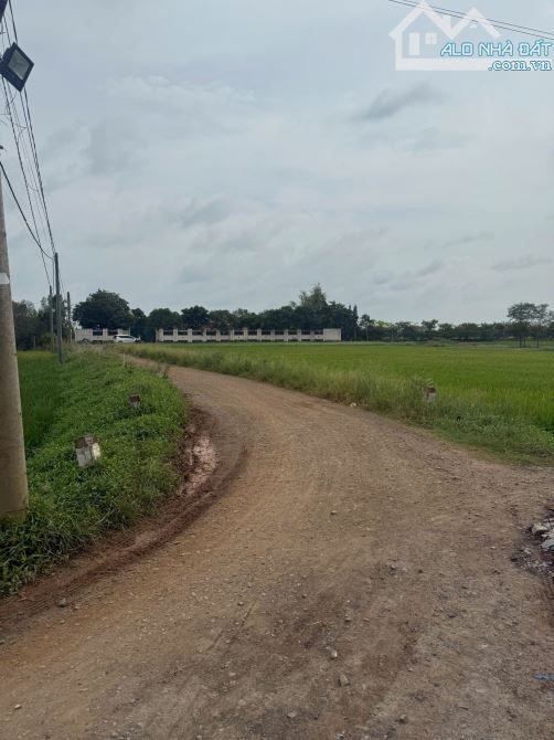 CẦN BÁN GẤP LÔ ĐẤT NGAY TÂN LÂN - 1