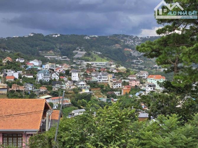 Nhà Phố View Thông Trung Tâm Phường Xuân Hương Đà Lạt 323m2 16 TỶ - 1