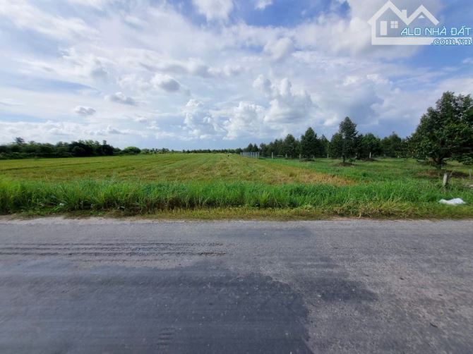 3600m2 đường nhựa. Ngay khu đô thị KCN Phước Đông. 2,6 tỷ - 1
