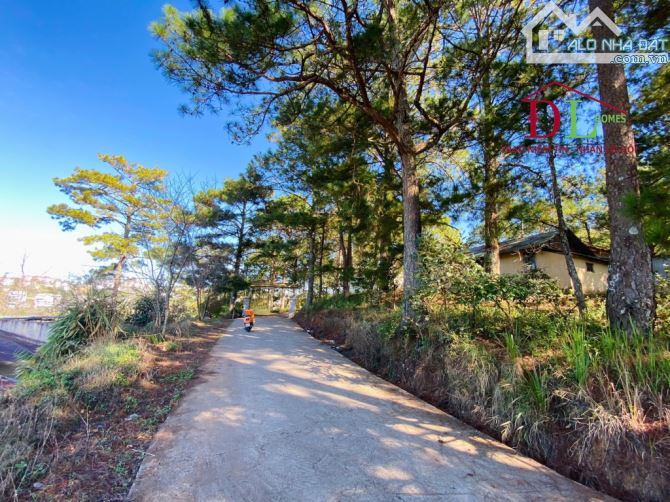 Bán đất Đà Lạt, đường Hoàng Hoa Thám view thông, diện tích 655m2, giá 12 tỷ #4774 - 1