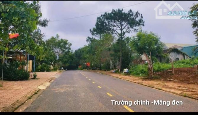 Bán 460m2 đất đường trường chinh măng đen kon tum 11 x 42m giá 9,1 tỷ - 1