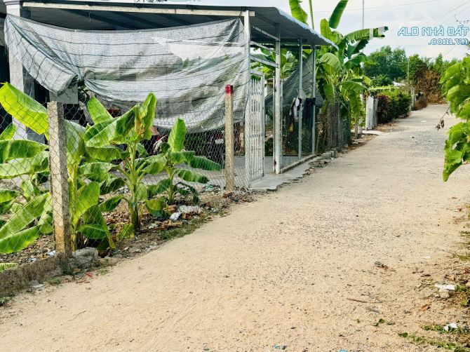 Bán đất Suối Cát – 218m² full thổ cư, giá chỉ 3,7tr/m² - 1