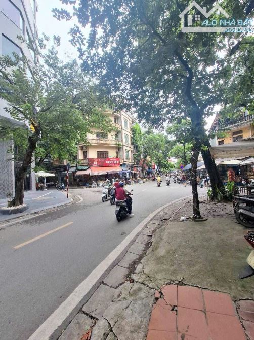 Trần Quang Diệu - Mặt phố kinh doanh - Vỉa hè ô tránh trước nhà - Vị trí rất ít nhà bán - 1
