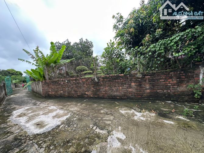 Fo đất ông cha để lại ngõ Lương Xá ô tô đỗ cửa. - 1
