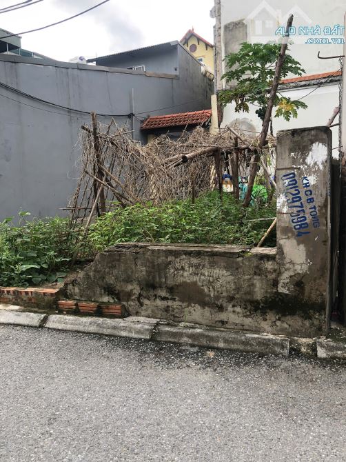 Bán Đất Đông Dư Lô Góc Ô Tô Tránh 46m - Trục Chính Gần Ngay Cầu Thanh Trì - giá 6.28 tỷ - 1
