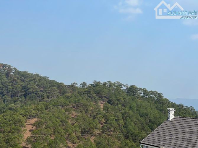 408M2 FULL XD - HAI MẶT TIỀN ĐƯỜNG CHÍNH HOÀNG HOA THÁM - NGANG 20MET VIEW RỪNG THÔNG - 1