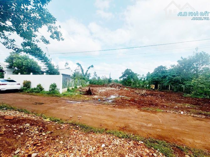 bán đất buôn đăng - km19 - Eaknuec - 790 triệu - 1