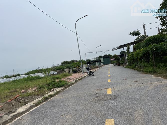 Đất khu đấu giá Hương Đình -Mai Đình  100m .Giá cực kỳ tốt cho nhà đầu tư - 1