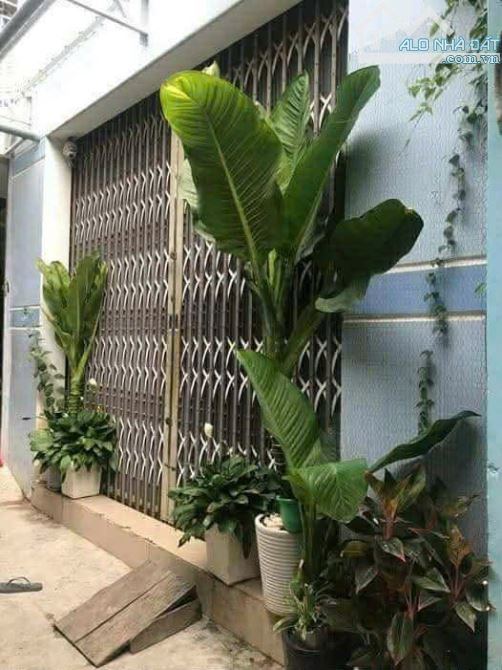 🏠 BÁN NHÀ HẺM – BẠCH ĐẰNG, QUY NHƠN 📐 Diện tích: 27m² 🏗 Kết cấu: Nhà 2,5 mê kiên cố - 1