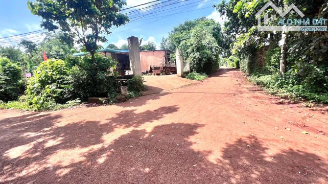 Bán đất cusue - giá 750 triệu - cưmgar - 1
