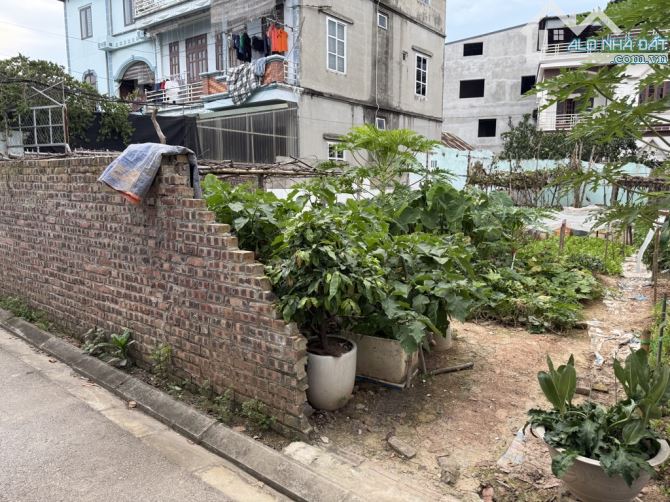 Đất Đẹp - Ô TÔ Tải Đi- Đa Tốn_137m MT 7m - Ở An Sinh Đầu Tư Đỉnh- Cạnh Vinocp - 1