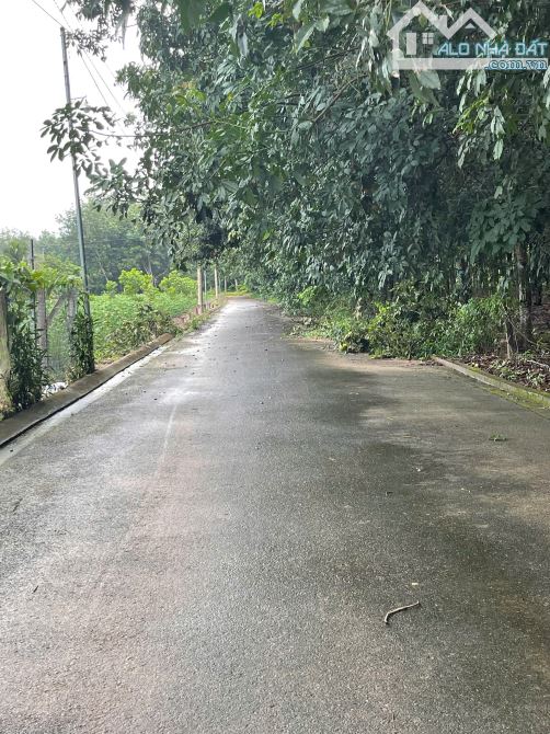 🏡 BÁN ĐẤT KHU PHỐ 4  HẮC DỊCH – PHƯỜNG TÂN THÀNH . TP HỒ CHÍ MINH - 1